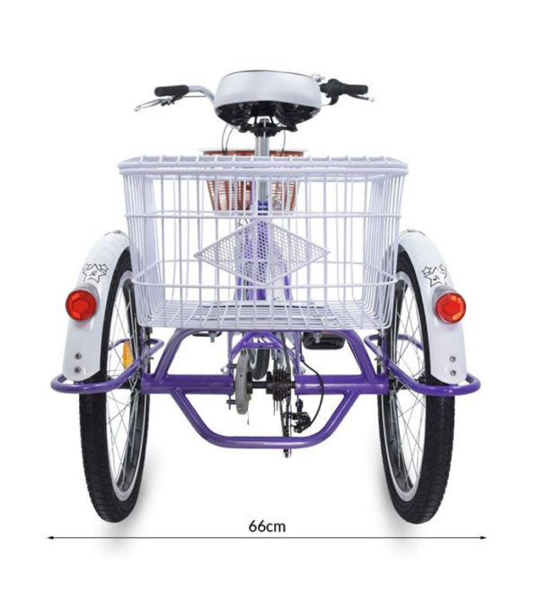 Triciclo terapeutico E Bike electrico. medidas 4.jpg